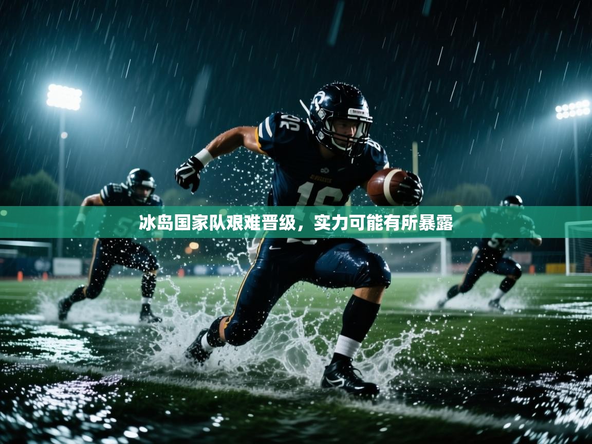 冰岛国家队艰难晋级，实力可能有所暴露  第2张